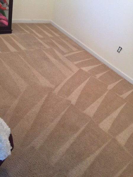 Carpet Cleaning in Atlanta, GA (1)