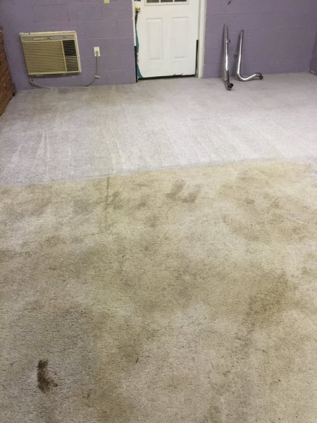 Before and After Carpet Cleaning in Atlanta, GA (1)